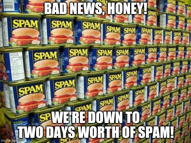 Spam is good for you | BAD NEWS, HONEY! WE'RE DOWN TO TWO DAYS WORTH OF SPAM! | image tagged in spam | made w/ Imgflip meme maker