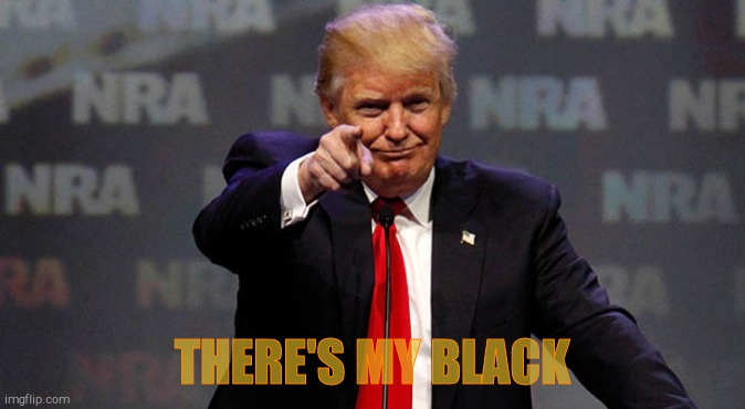 Trump Smiling | THERE'S MY BLACK | image tagged in trump smiling | made w/ Imgflip meme maker