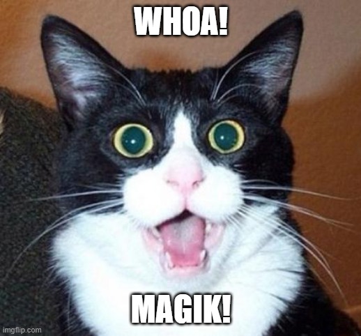 Surprised cat lol | WHOA! MAGIK! | image tagged in surprised cat lol | made w/ Imgflip meme maker