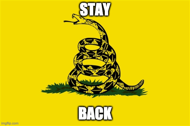 Snake | STAY; BACK | image tagged in dont tread on me | made w/ Imgflip meme maker