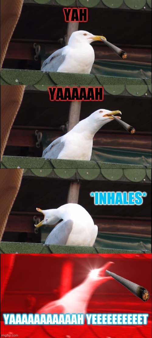 Inhaling Seagull Meme | YAH; YAAAAAH; *INHALES*; YAAAAAAAAAAAH YEEEEEEEEEET | image tagged in memes,inhaling seagull | made w/ Imgflip meme maker