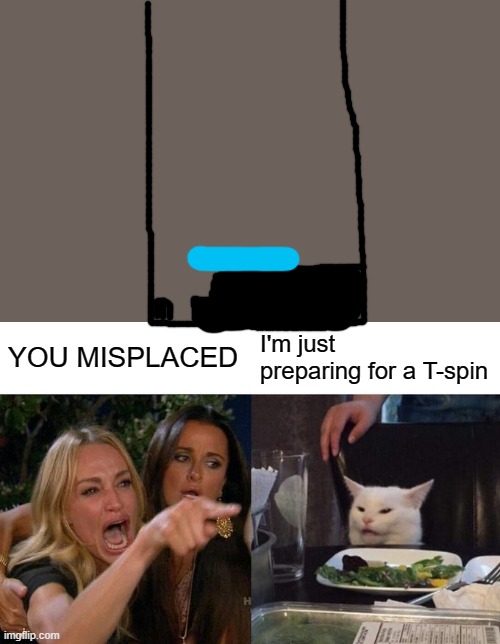Woman Yelling At Cat Meme | YOU MISPLACED; I'm just preparing for a T-spin | image tagged in memes,woman yelling at cat | made w/ Imgflip meme maker