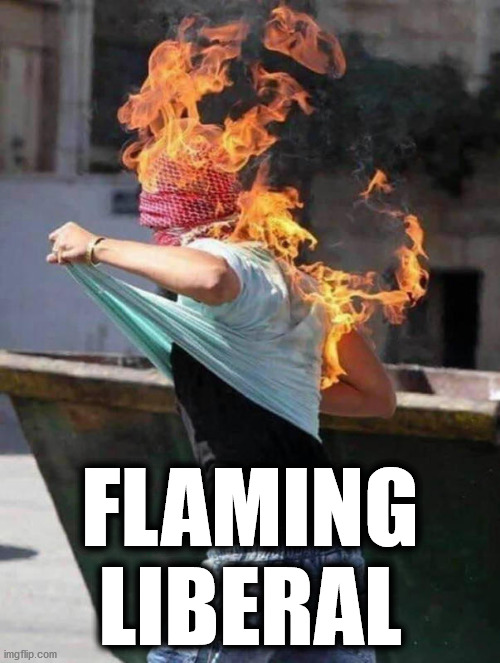 Flaming Liberal | FLAMING LIBERAL | made w/ Imgflip meme maker