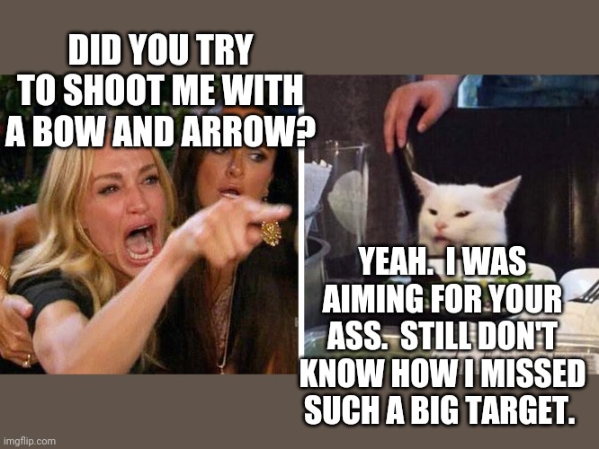 Smudge the cat | DID YOU TRY TO SHOOT ME WITH A BOW AND ARROW? YEAH.  I WAS AIMING FOR YOUR ASS.  STILL DON'T KNOW HOW I MISSED SUCH A BIG TARGET. | image tagged in smudge the cat | made w/ Imgflip meme maker