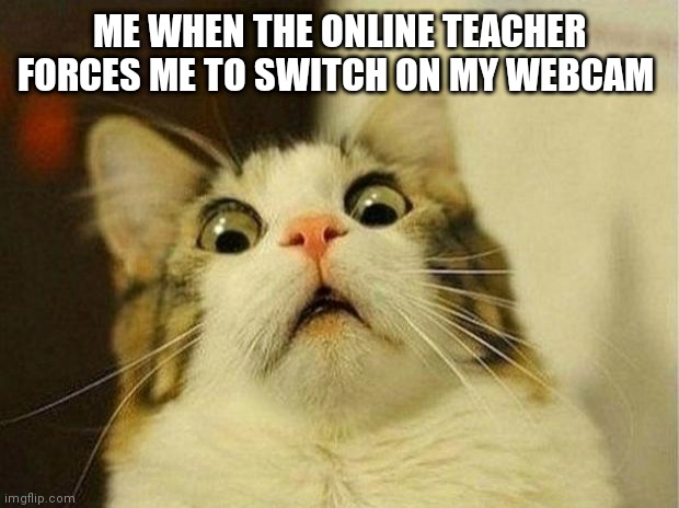 We all love sitting in online school without our Webcams on | ME WHEN THE ONLINE TEACHER FORCES ME TO SWITCH ON MY WEBCAM | image tagged in memes,scared cat | made w/ Imgflip meme maker