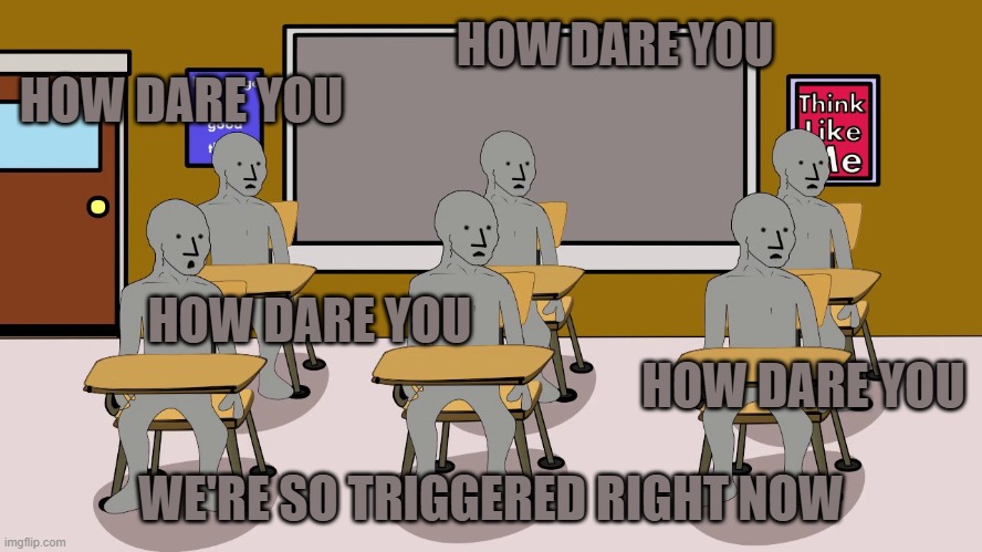 HOW DARE YOU WE'RE SO TRIGGERED RIGHT NOW HOW DARE YOU HOW DARE YOU HOW DARE YOU | image tagged in npc university | made w/ Imgflip meme maker