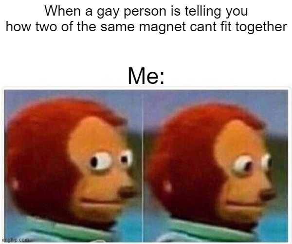 Monkey Puppet Meme | When a gay person is telling you how two of the same magnet cant fit together; Me: | image tagged in memes,monkey puppet | made w/ Imgflip meme maker