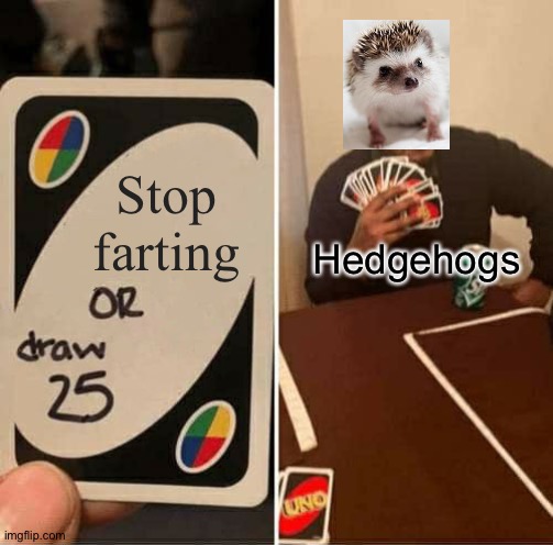 I just imagined that | Stop farting; Hedgehogs | image tagged in memes,uno draw 25 cards | made w/ Imgflip meme maker