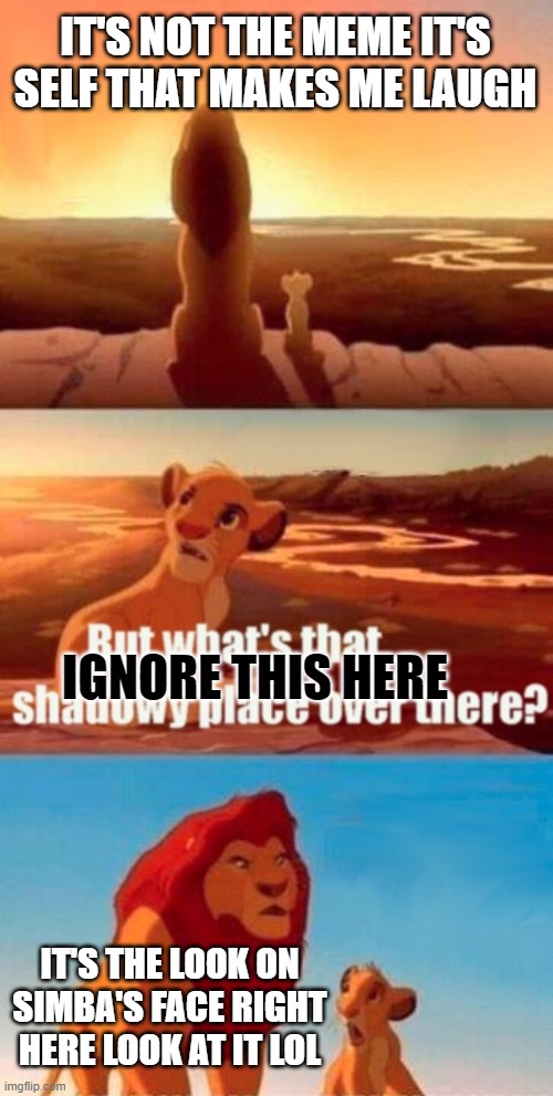 Simba Shadowy Place | IT'S NOT THE MEME IT'S SELF THAT MAKES ME LAUGH; IGNORE THIS HERE; IT'S THE LOOK ON SIMBA'S FACE RIGHT HERE LOOK AT IT LOL | image tagged in memes,simba shadowy place | made w/ Imgflip meme maker