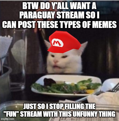 only the cat | BTW DO Y'ALL WANT A PARAGUAY STREAM SO I CAN POST THESE TYPES OF MEMES JUST SO I STOP FILLING THE "FUN" STREAM WITH THIS UNFUNNY THING | image tagged in only the cat | made w/ Imgflip meme maker