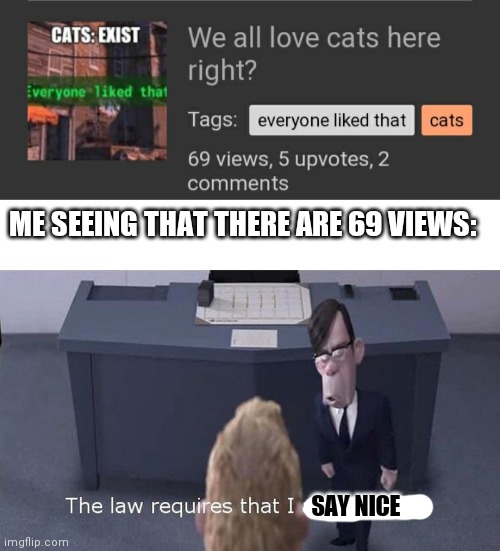Yay! My cat meme has 69 views! | ME SEEING THAT THERE ARE 69 VIEWS:; SAY NICE | image tagged in the law requires | made w/ Imgflip meme maker