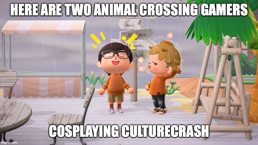 Culturecrash on Animal Crossing | HERE ARE TWO ANIMAL CROSSING GAMERS; COSPLAYING CULTURECRASH | image tagged in animal crossing,culturecrash,youtube,gaming,memes | made w/ Imgflip meme maker