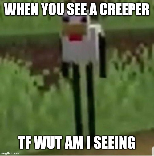 WTF | WHEN YOU SEE A CREEPER; TF WUT AM I SEEING | image tagged in cursed minecraft chicken | made w/ Imgflip meme maker