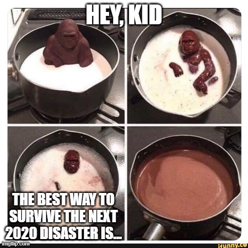 Melting gorilla | HEY, KID; THE BEST WAY TO SURVIVE THE NEXT 2020 DISASTER IS... | image tagged in melting gorilla | made w/ Imgflip meme maker