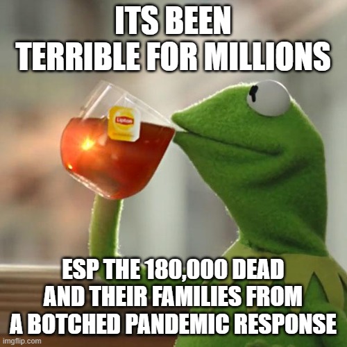 But That's None Of My Business Meme | ITS BEEN TERRIBLE FOR MILLIONS ESP THE 180,000 DEAD AND THEIR FAMILIES FROM A BOTCHED PANDEMIC RESPONSE | image tagged in memes,but that's none of my business,kermit the frog | made w/ Imgflip meme maker