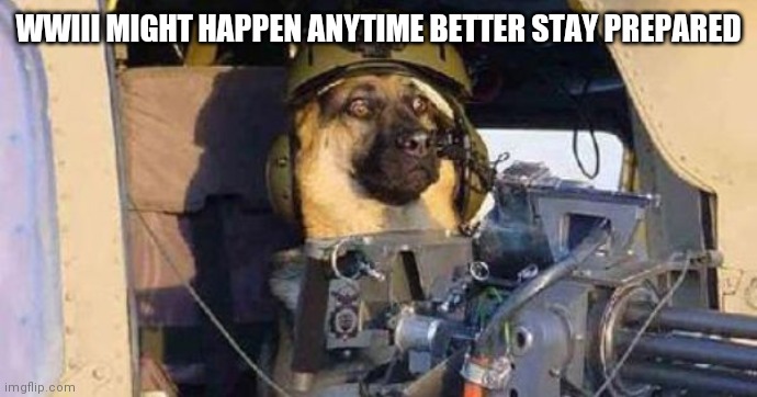 Prepared German shepherd | WWIII MIGHT HAPPEN ANYTIME BETTER STAY PREPARED | image tagged in ww3 | made w/ Imgflip meme maker