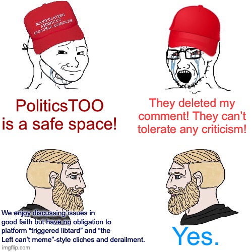 There are already streams where uncaptioned skyscreamer reaccs are considered the pinnacle of mature political discourse | They deleted my comment! They can’t tolerate any criticism! PoliticsTOO is a safe space! We enjoy discussing issues in good faith but have no obligation to platform “triggered libtard” and “the Left can’t meme”-style cliches and derailment. Yes. | image tagged in maga wojaks vs yes chad,right wing,conservative logic,trolling,dumb,trump supporters | made w/ Imgflip meme maker