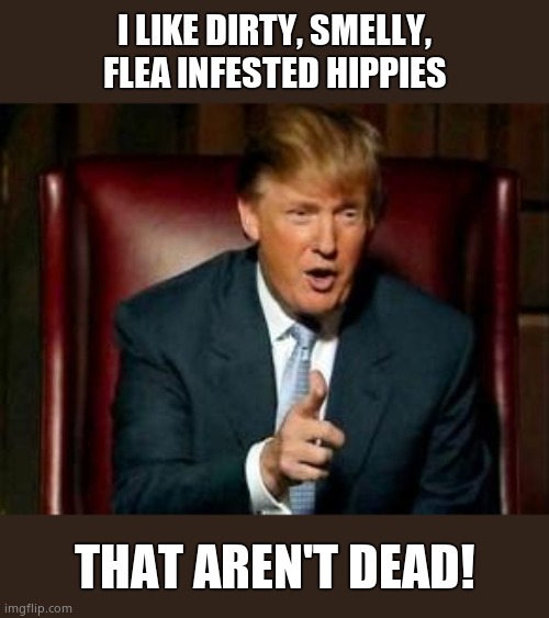 Donald Trump | I LIKE DIRTY, SMELLY, FLEA INFESTED HIPPIES THAT AREN'T DEAD! | image tagged in donald trump | made w/ Imgflip meme maker