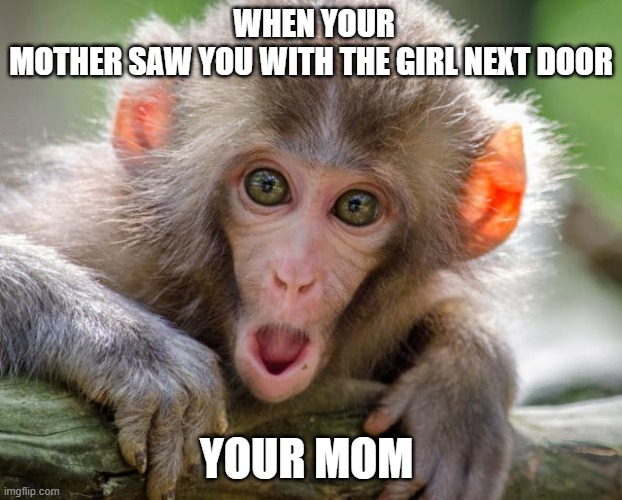 When your mother saw you with the girl next door | WHEN YOUR MOTHER SAW YOU WITH THE GIRL NEXT DOOR; YOUR MOM | image tagged in funny | made w/ Imgflip meme maker
