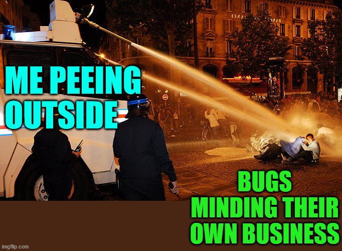 Men like to aim at stuff. |  ME PEEING OUTSIDE; BUGS MINDING THEIR OWN BUSINESS | image tagged in peeing,bugs,outside | made w/ Imgflip meme maker