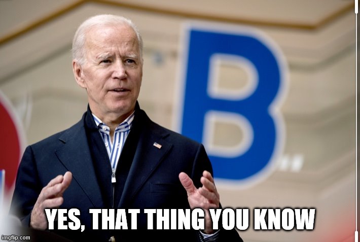 He is doing something for some party or something you know. | YES, THAT THING YOU KNOW | image tagged in confused joe biden,political meme | made w/ Imgflip meme maker