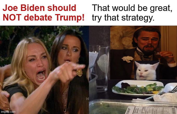 Woman Yelling At Cat Meme | Joe Biden should NOT debate Trump! That would be great,
try that strategy. | image tagged in memes,woman yelling at cat,biden,trump 2020,cnn fake news,don lemon is biased | made w/ Imgflip meme maker