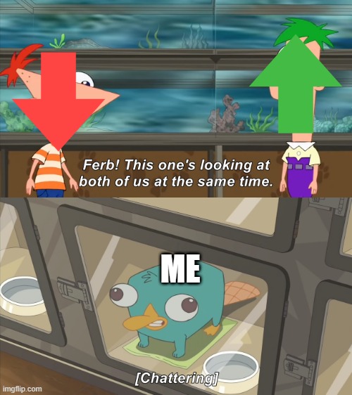 phineas and ferb | ME | image tagged in phineas and ferb | made w/ Imgflip meme maker