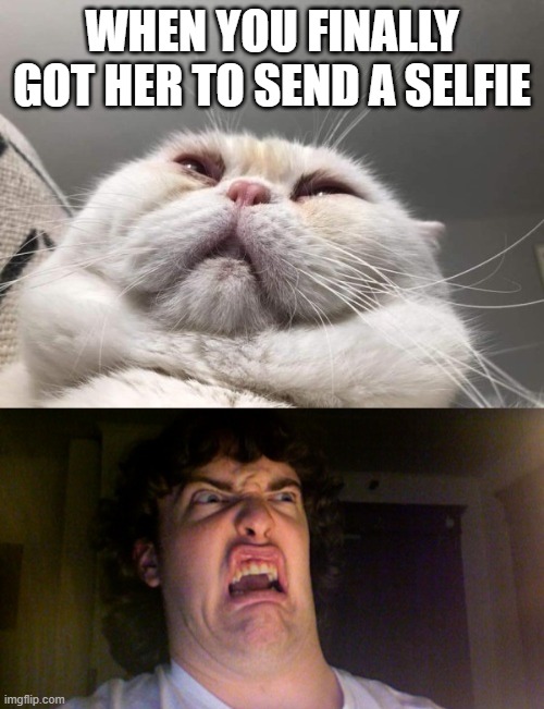 Usually what happens | WHEN YOU FINALLY GOT HER TO SEND A SELFIE | image tagged in memes,oh no,selfies,chat,texting | made w/ Imgflip meme maker