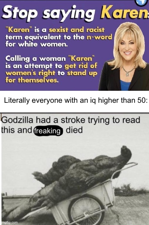 Godzilla Died | Literally everyone with an iq higher than 50:; freaking | image tagged in godzilla | made w/ Imgflip meme maker