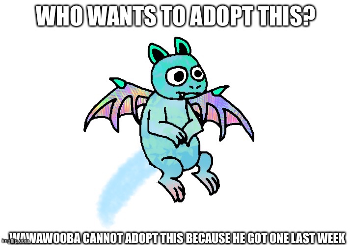 First come first serve | WHO WANTS TO ADOPT THIS? WAWAWOOBA CANNOT ADOPT THIS BECAUSE HE GOT ONE LAST WEEK | made w/ Imgflip meme maker