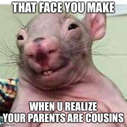 When ur parents are cousins | THAT FACE YOU MAKE; WHEN U REALIZE YOUR PARENTS ARE COUSINS | image tagged in family | made w/ Imgflip meme maker