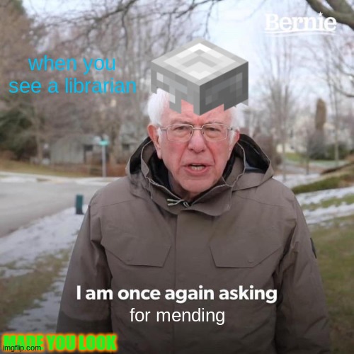 meme | when you see a librarian; for mending; MADE YOU LOOK | image tagged in memes,bernie i am once again asking for your support | made w/ Imgflip meme maker