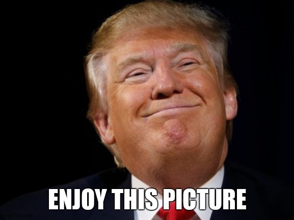 Smug Trump | ENJOY THIS PICTURE | image tagged in smug trump | made w/ Imgflip meme maker