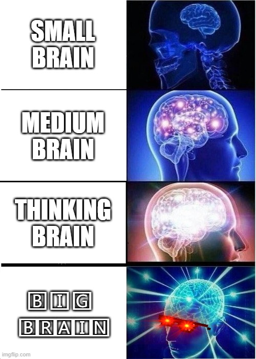 S M A R T BOI | SMALL BRAIN; MEDIUM BRAIN; THINKING BRAIN; 🄱 🄸 🄶   🄱🅁🄰🄸🄽 | image tagged in memes,expanding brain,big brain | made w/ Imgflip meme maker