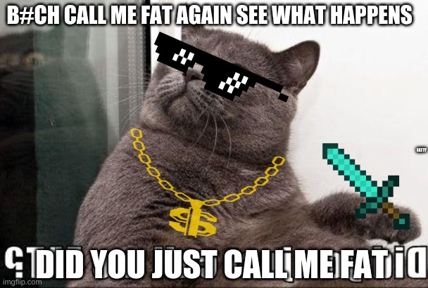 fat cat | B#CH CALL ME FAT AGAIN SEE WHAT HAPPENS; FATTY; DID YOU JUST CALL ME FAT | image tagged in fatty | made w/ Imgflip meme maker