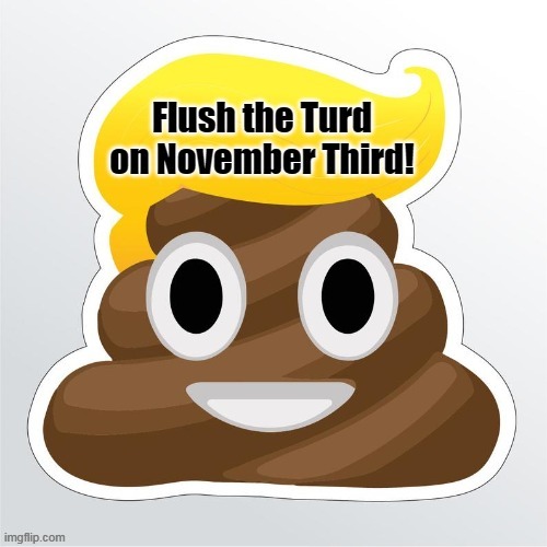 flush it | image tagged in donald trump | made w/ Imgflip meme maker
