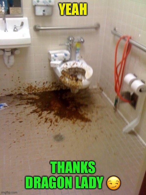 Girls poop too | YEAH THANKS DRAGON LADY ? | image tagged in girls poop too | made w/ Imgflip meme maker