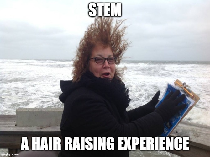 STEM | STEM; A HAIR RAISING EXPERIENCE | image tagged in funny memes | made w/ Imgflip meme maker