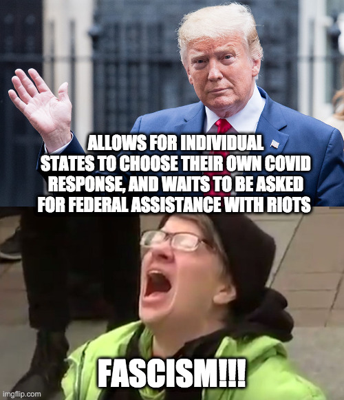 ALLOWS FOR INDIVIDUAL STATES TO CHOOSE THEIR OWN COVID RESPONSE, AND WAITS TO BE ASKED FOR FEDERAL ASSISTANCE WITH RIOTS FASCISM!!! | made w/ Imgflip meme maker