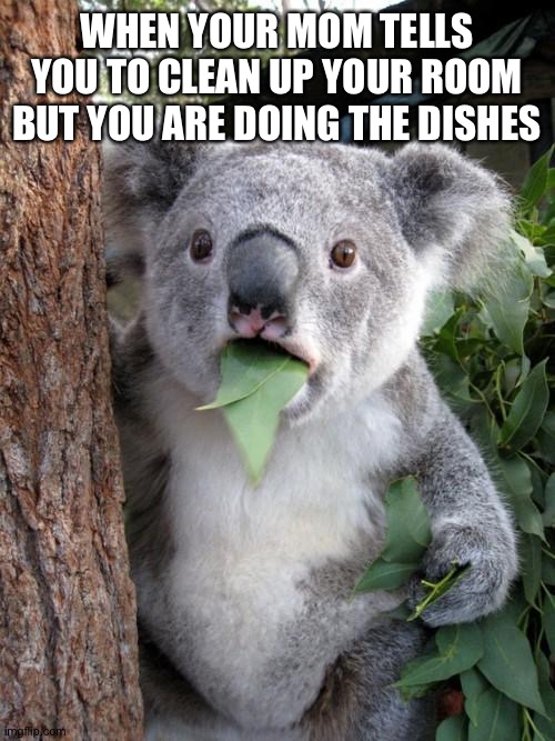 Hoi | WHEN YOUR MOM TELLS YOU TO CLEAN UP YOUR ROOM BUT YOU ARE DOING THE DISHES | image tagged in memes,surprised koala | made w/ Imgflip meme maker