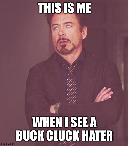 Face You Make Robert Downey Jr Meme | THIS IS ME; WHEN I SEE A BUCK CLUCK HATER | image tagged in memes,face you make robert downey jr | made w/ Imgflip meme maker