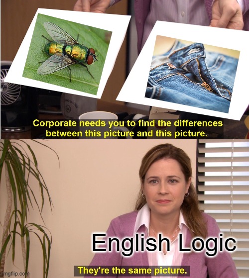 They're The Same Picture Meme | English Logic | image tagged in memes,they're the same picture | made w/ Imgflip meme maker