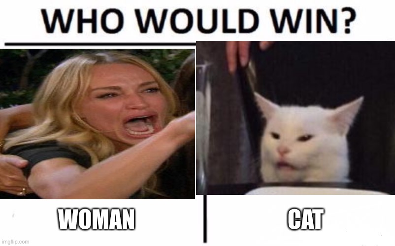 Woman vs cat Imgflip