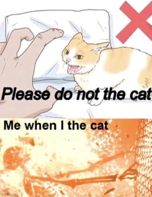 Me when the cat | image tagged in the,cat,do not the cat | made w/ Imgflip meme maker