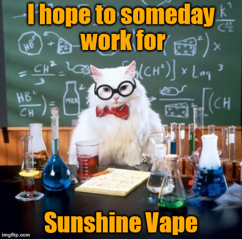 Chemistry Cat Meme | I hope to someday work for Sunshine Vape | image tagged in memes,chemistry cat | made w/ Imgflip meme maker