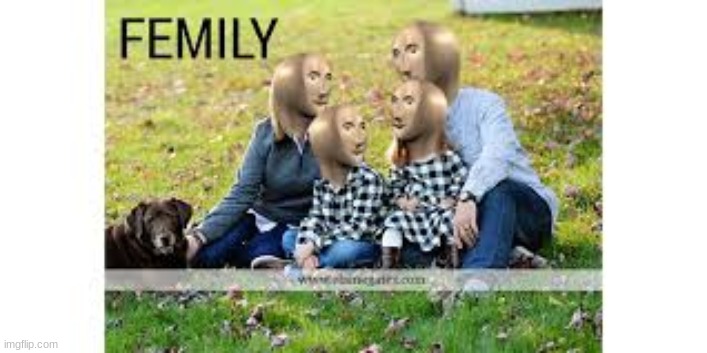 Mr. Stonks and family | image tagged in memes | made w/ Imgflip meme maker