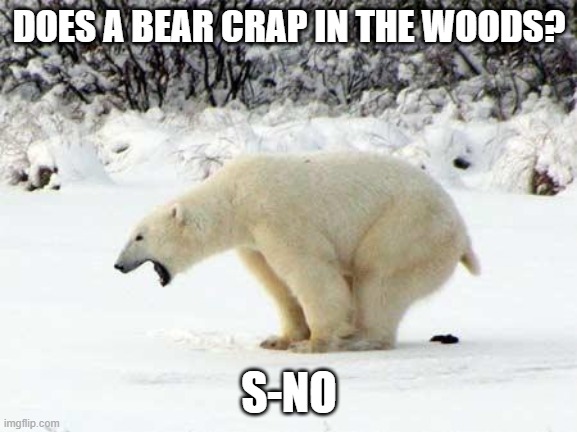 Polar Bear Shits in the Snow | DOES A BEAR CRAP IN THE WOODS? S-NO | image tagged in polar bear shits in the snow | made w/ Imgflip meme maker