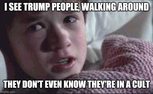 I see Trump people | I SEE TRUMP PEOPLE, WALKING AROUND; THEY DON'T EVEN KNOW THEY'RE IN A CULT | image tagged in memes,i see dead people | made w/ Imgflip meme maker