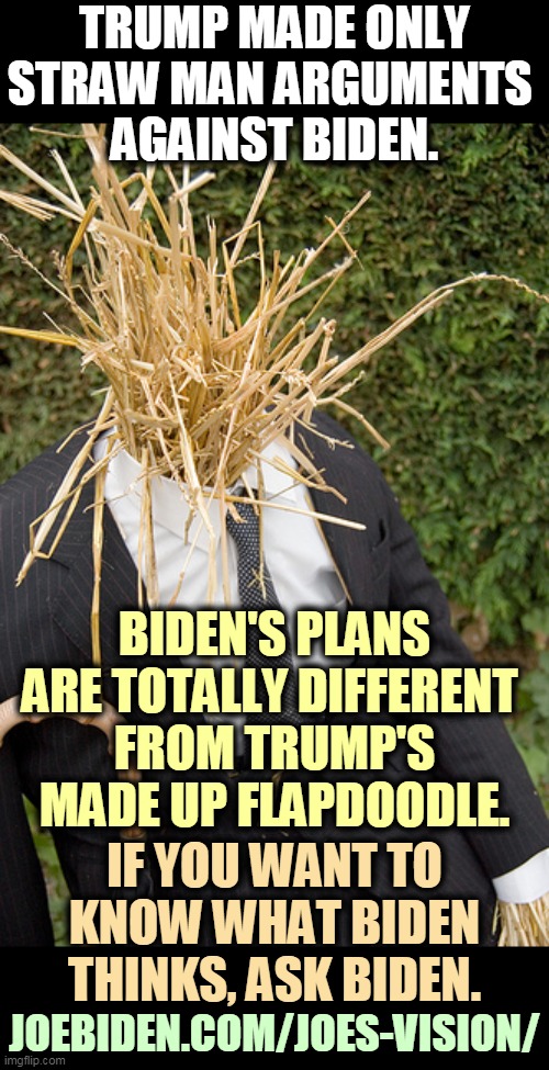 Trump is a frightened, desperate man to concoct such silly stuff about Biden. | TRUMP MADE ONLY STRAW MAN ARGUMENTS 
AGAINST BIDEN. BIDEN'S PLANS ARE TOTALLY DIFFERENT 
FROM TRUMP'S MADE UP FLAPDOODLE. IF YOU WANT TO KNOW WHAT BIDEN THINKS, ASK BIDEN. JOEBIDEN.COM/JOES-VISION/ | image tagged in straw man,trump,frightened,desperate,liar,failure | made w/ Imgflip meme maker