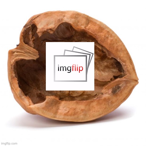 Imgflip in a nutshell | image tagged in nutshell,imgflip,lol sry im out of ideas,enjoy my weirdness | made w/ Imgflip meme maker